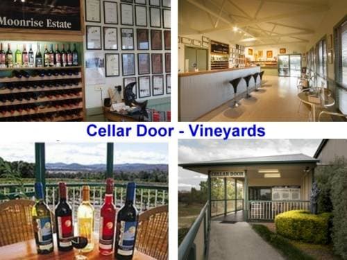 Vineyard - Cellar Door - Guest Accommodation for sale in Queensland