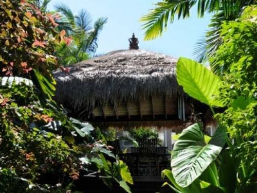 BEACH HOUSE FOR SALE - FRASER COAST QLD - Whale watching in South East Qld